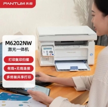奔图打印机 M6202W
