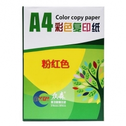 彩色A4纸 云彩纸/皮纹纸 彩色纸 500张/包 单位：包